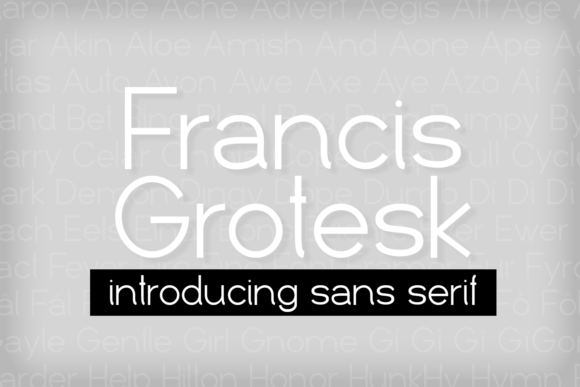 Francis Grotesk: A Font for Campaigns