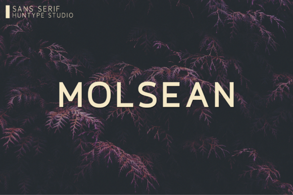 Molsean: A Versatile Sans Serif Font
