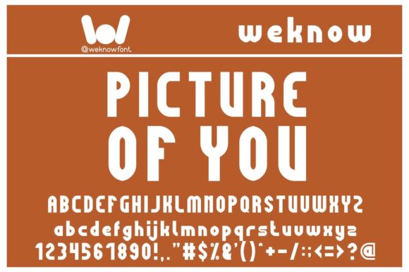Picture of You Font for Clear Campaigns