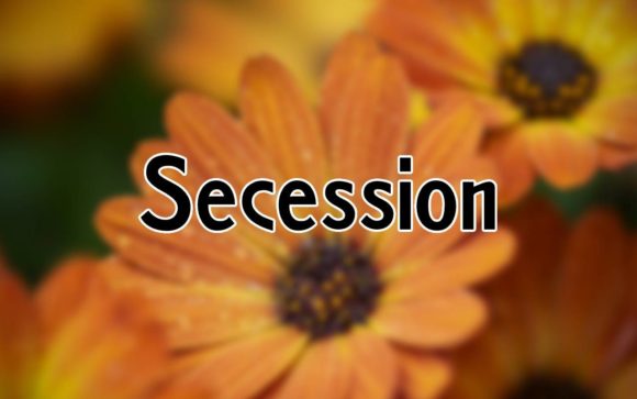 Secession: A Bold Sans Serif for Elegant Design